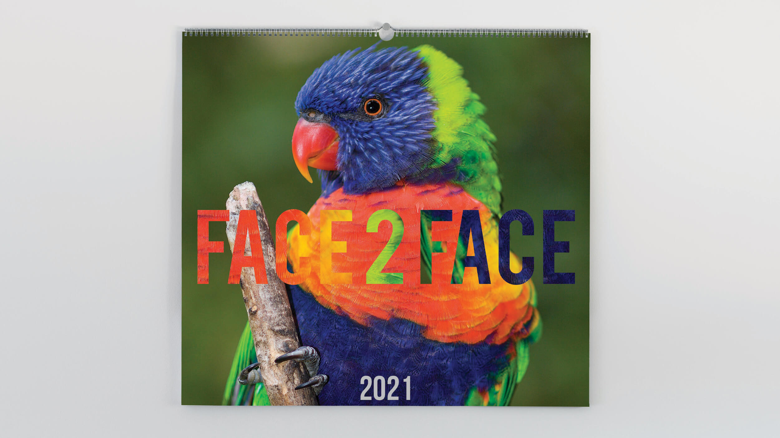 'Face 2 Face' wall calendar with multi coloured parrot on the cover