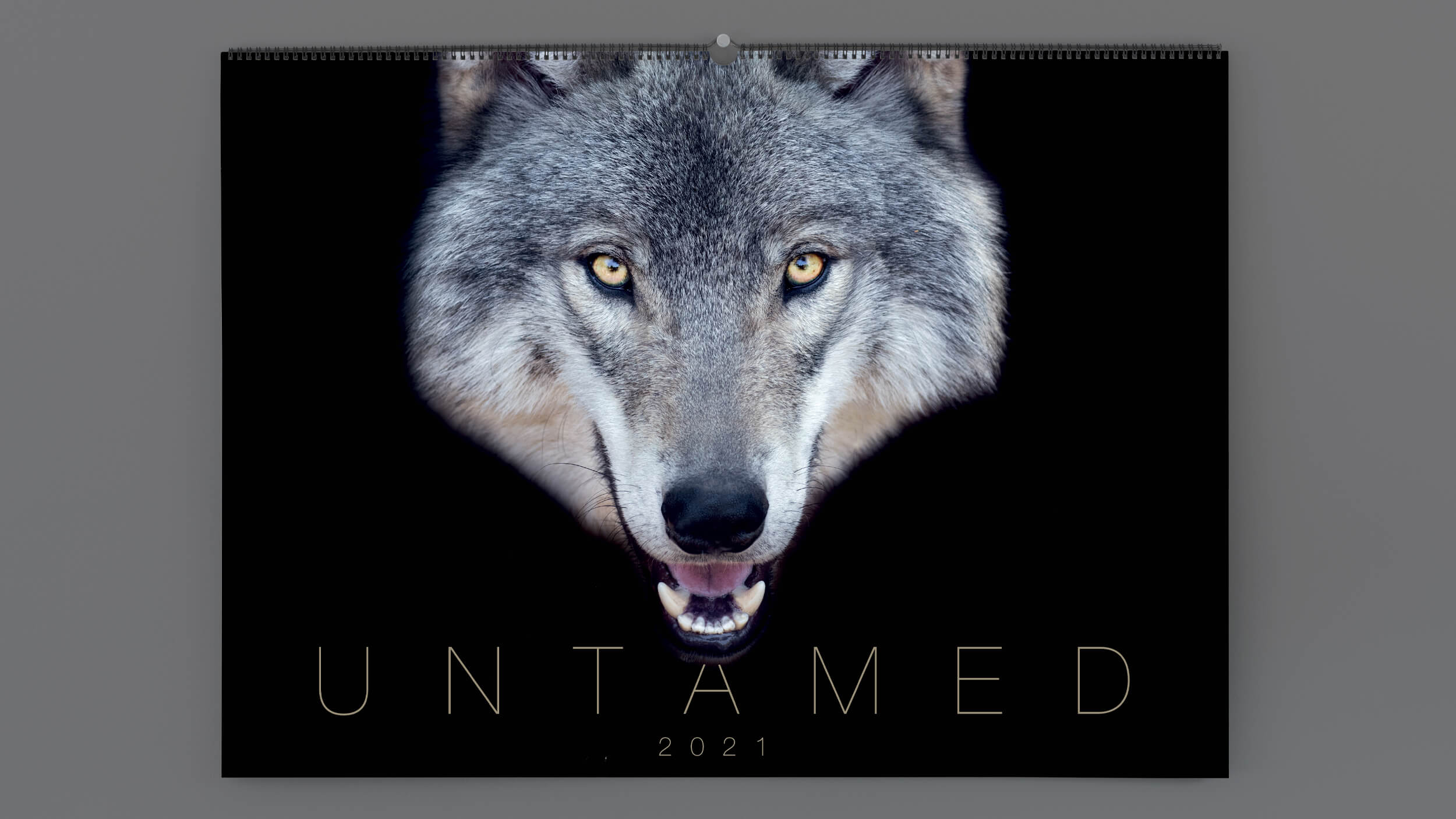 'Untamed' calendar with a wolf head on the cover