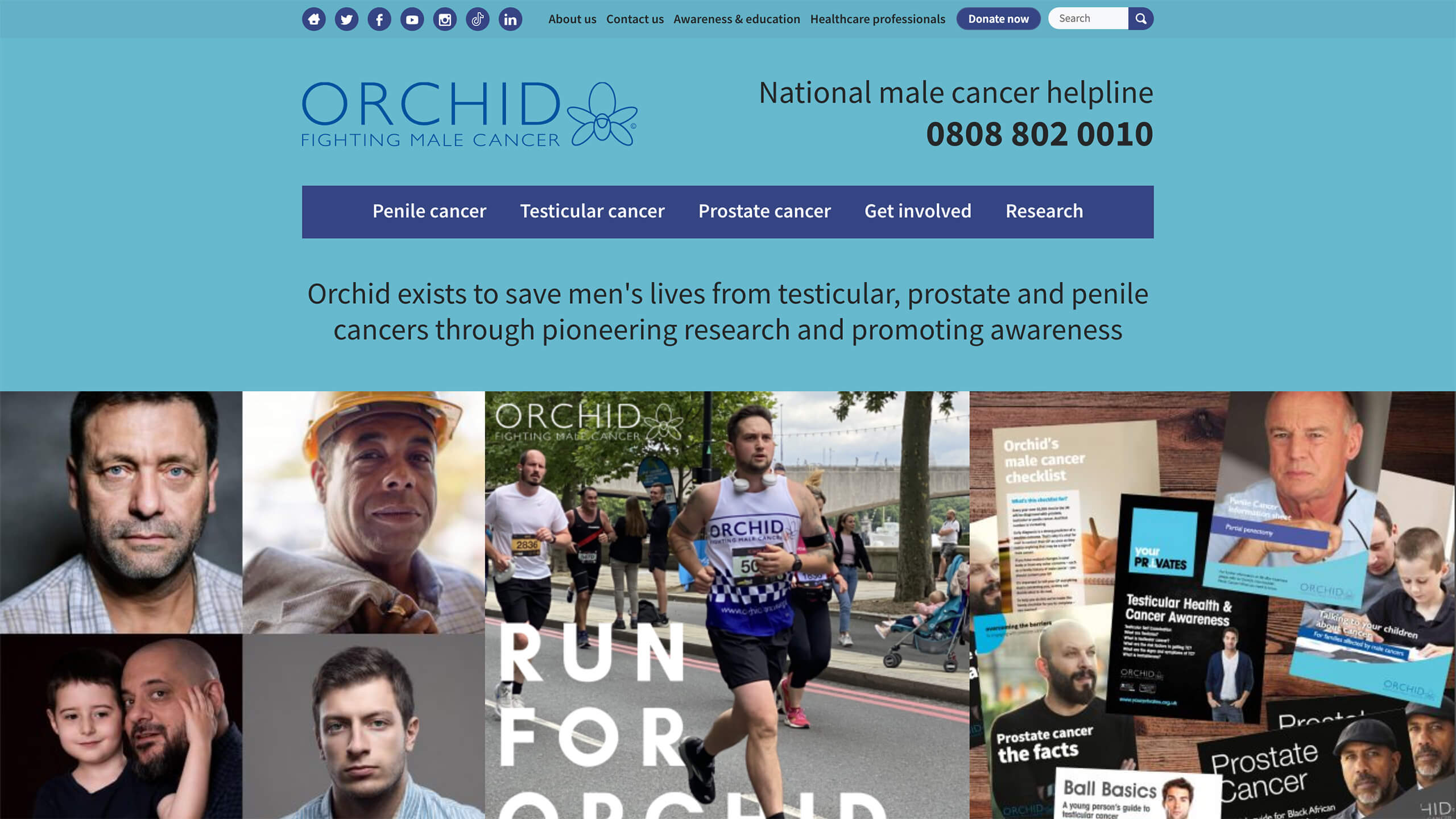 Orchid Cancer website before Datum design
