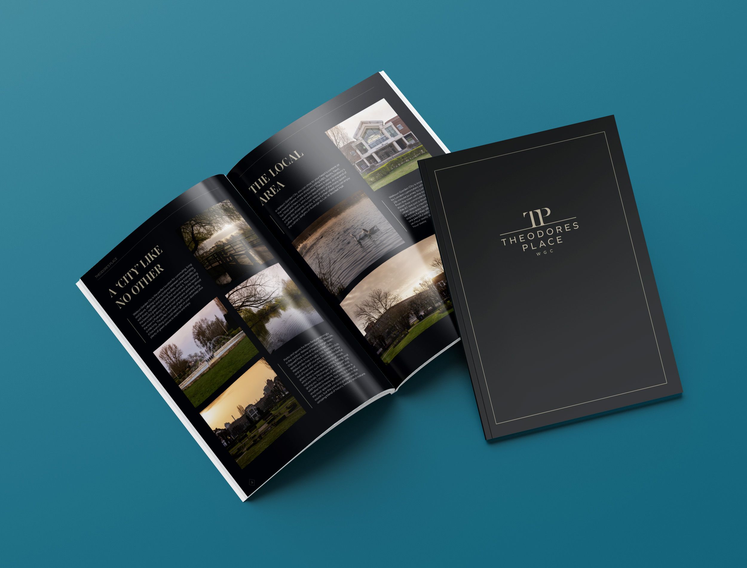 Theodores Place Brochure