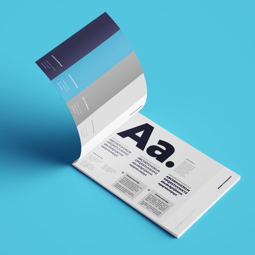 Blue Flag Branding and Website 03